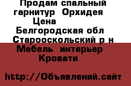 Продам спальный гарнитур “Орхидея“ › Цена ­ 25 000 - Белгородская обл., Старооскольский р-н Мебель, интерьер » Кровати   